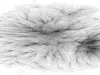 reposdigraph-dot_-sfdp-1024